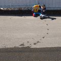 P4125631.jpg