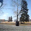 vid_first_swinging.avi