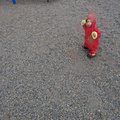 P6106295.jpg