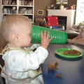 IMG_5327.jpg