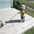 IMG_5330.jpg