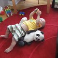IMG_5374.jpg