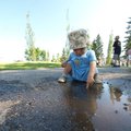 P7056896.jpg