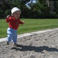 IMG_5190.jpg