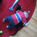 IMG_5300.jpg
