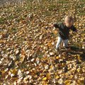IMG_5553.jpg