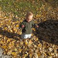 IMG_5561.jpg