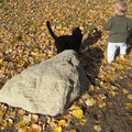 IMG_5564.jpg