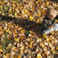 IMG_5566.jpg