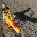 IMG_5586.jpg