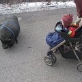 IMG_5937.jpg