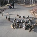 IMG_6011.jpg