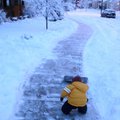 PC078278.jpg