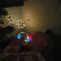 PC208447.jpg