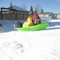 IMG_6349.jpg