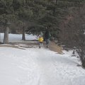 IMG_6399.jpg