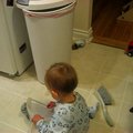 vid_ollie_tidying.avi