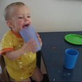vid_suction_cup.avi