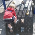 IMG_6825.jpg