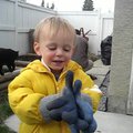 vid_gloves.avi