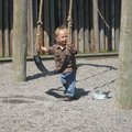 IMG_7013.jpg