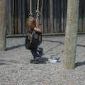 IMG_7014.jpg