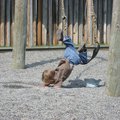 IMG_7015.jpg