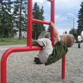IMG_7130.jpg