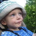 IMG_7147.jpg
