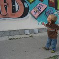 IMG_7290.jpg
