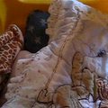 vid_bidi_sodacracker.avi