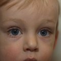 PB200951.jpg