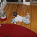 PC101296.jpg