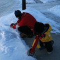 IMG_0137.jpg