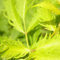 DSCN3777.JPG