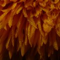 DSCN3928.JPG