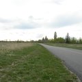 DSCN0338.JPG