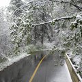 DSCN0065.JPG