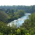 DSCN0929.JPG