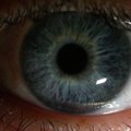 eye_full.JPG