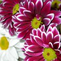 DSCN0373.JPG