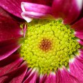 DSCN0374.JPG