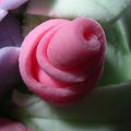 DSCN0838.JPG