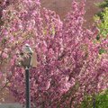 DSCN0467.JPG