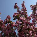DSCN0474.JPG