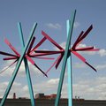DSCN0499.JPG