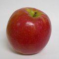 apple_full.JPG