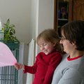 DSCN0795.JPG