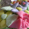 DSCN0817.JPG
