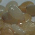 sesame_seeds.jpg